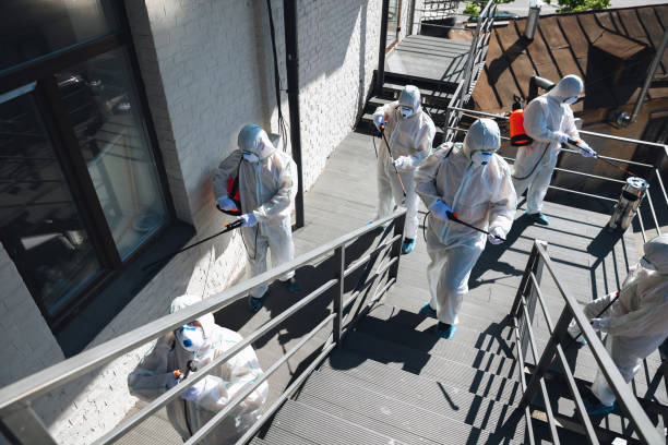 Best Comprehensive Air Testing for Mold Contaminants  in New Hyde Park, NY